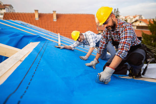 Best Gutter Installation and Roofing  in Hayfork, CA